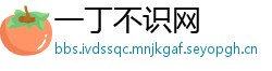 一丁不识网